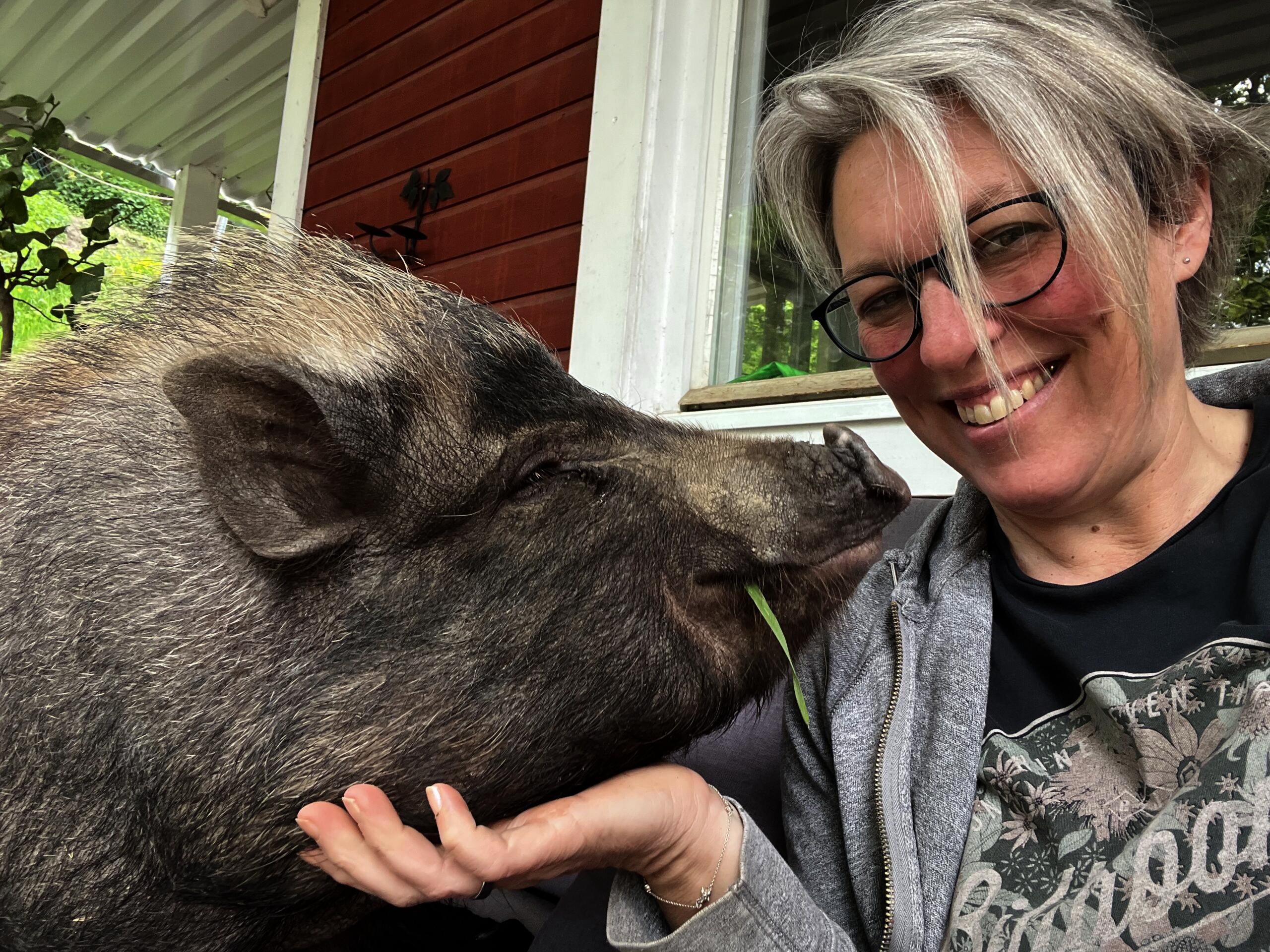 Ich und unser Schwein Calisto